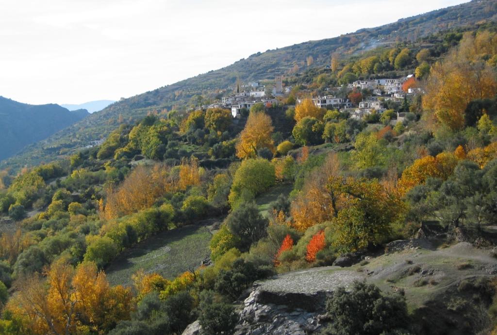 Sierra Y Mar Panzió Ferreirola Kültér fotó