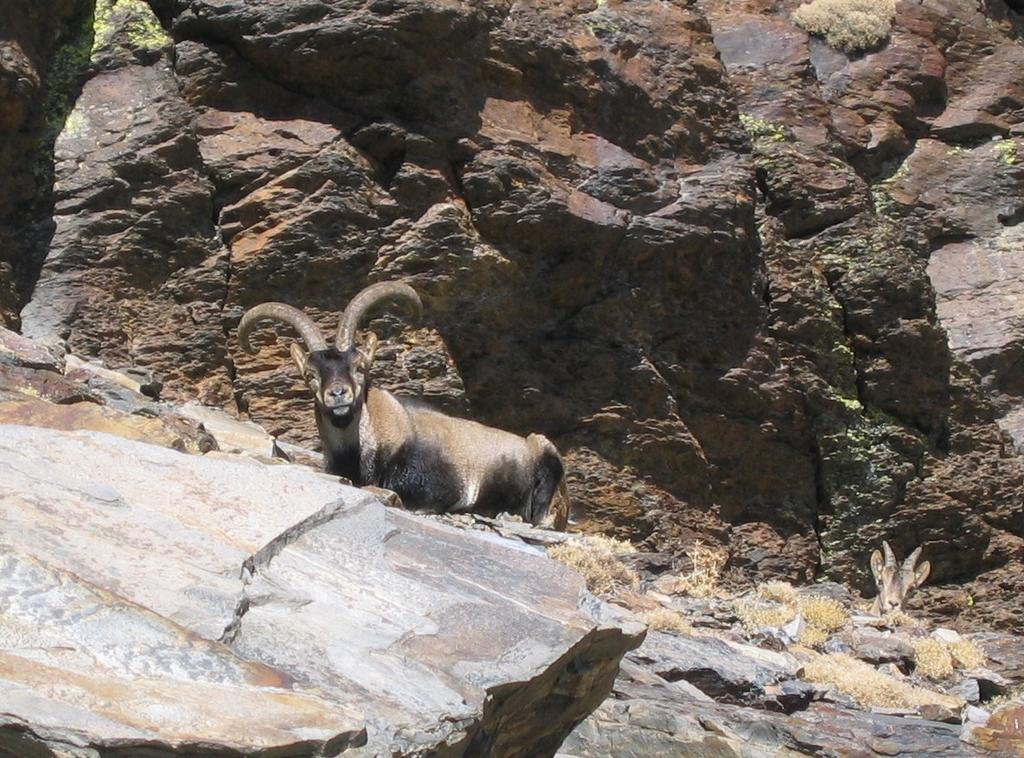 Sierra Y Mar Panzió Ferreirola Kültér fotó