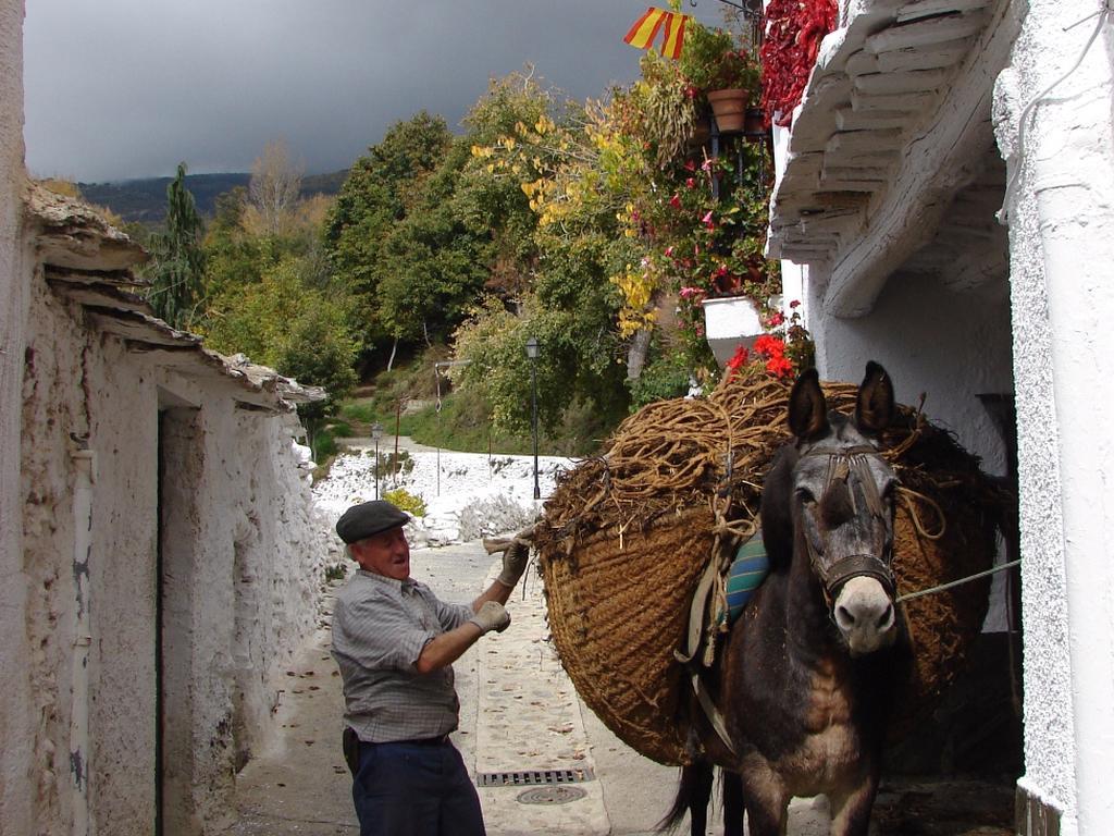 Sierra Y Mar Panzió Ferreirola Kültér fotó